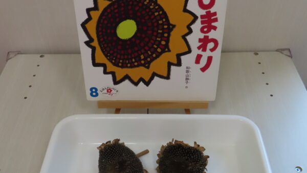 こんにちは！