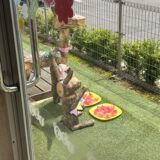 みんなでお散歩♪