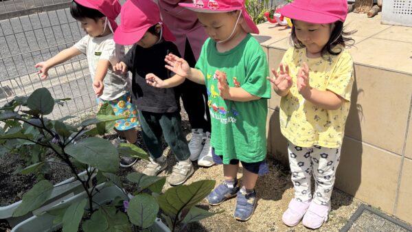 こんにちは！