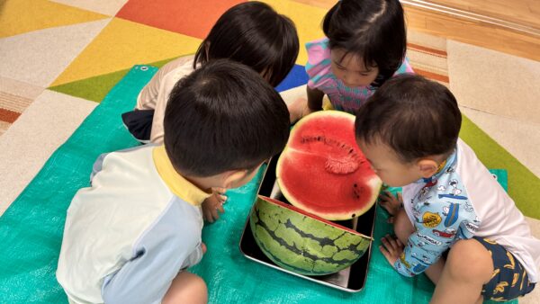 スイカ割り🍉